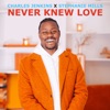 Never Knew Love (The Eric Kupper Mixes﻿) - Single