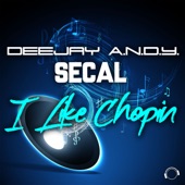 I Like Chopin (Extended Mix) artwork