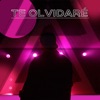 Te Olvidaré - Single