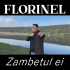 Zambetul ei - Single