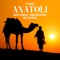 Anatoli (Acoustic Remix) artwork