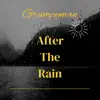 After the Rain (Instrumental Version) - Single album lyrics, reviews, download