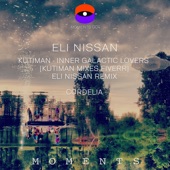 Inner Galactic Lovers (Kutiman Mixes Fiverr) [Eli Nissan Remix] artwork