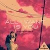 All I Want Is You