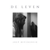 De Leven (feat. S10) artwork