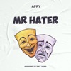 Mr Hater - Single