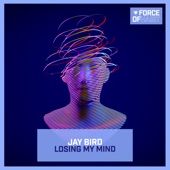 Jay Bird - Losing My Mind