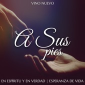 A Sus Pies artwork