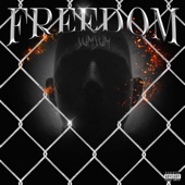 Freedom artwork