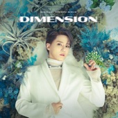 DIMENSION - EP artwork