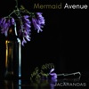 Jacarandas - Single