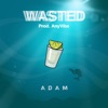 Wasted - Single