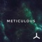 Meticulous - Divine Architek lyrics