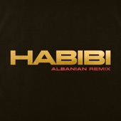 Habibi (Albanian Remix) artwork