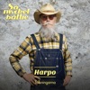 Harpo - Du brukade kalla mig för baby