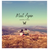 Meet Again artwork