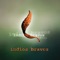 A Kiedy Dnia Pewnego - Indios Bravos lyrics