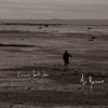 Au Revoir - Single