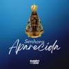 Senhora Aparecida - Single