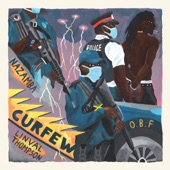 Curfew Dub artwork