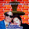 La Fuente Musical de Héctor de León