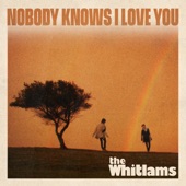 Nobody Knows I Love You artwork