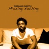 Missing Nothing - Single