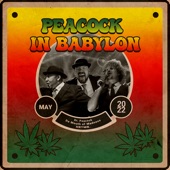 Peacock in Babylon (feat. HRTMN.) artwork