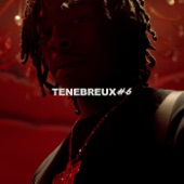 Ténébreux #6 artwork