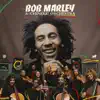 Bob Marley & The Chineke! Orchestra album lyrics, reviews, download