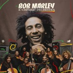 Bob Marley & The Chineke! Orchestra - Exodus