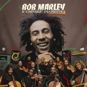 Bob Marley & Chineke! Orchestra - Redemption Song