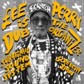 Lee "Scratch" Perry Is The Dub Organizer (New Ark Mix) artwork