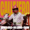 Callejero - Single