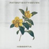 Hibbertia - Single