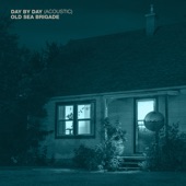 Day by Day (Acoustic) artwork