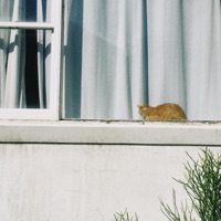 Abel Ibanez G Ablum Cover