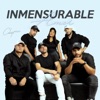 Inmensurable Amor - Single
