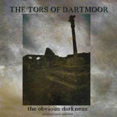 Tors of Dartmoor - Waterking
