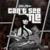 Can't See Me - Single album lyrics, reviews, download