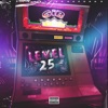 Level 25