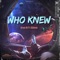 Who Knew (feat. KGVonne) - Bravo Bk lyrics