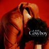 Last Cowboy - Single