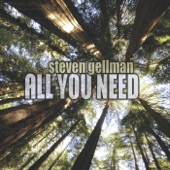 Steven Gellman - All You Need