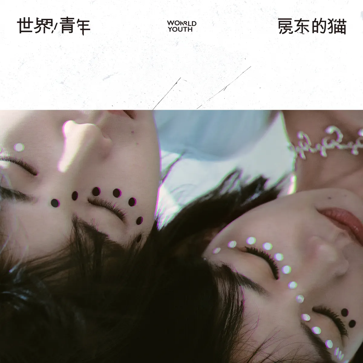 房東的貓 - 世界/青年 (2023) [iTunes Plus AAC M4A]-新房子