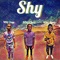 Shy (feat. NBG Zayy & NBG Heme) - NBG Chris lyrics
