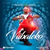 Viibaleko (feat. Jemax) - Single