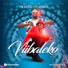 Viibaleko (feat. Jemax) - Single, 2023