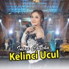 Kelinci Ucul - Single