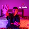 Te Soñé - Single